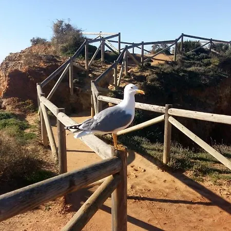 Mar Ii * Portimao